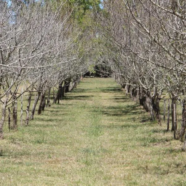 Los Almendros, hotel di Verónica