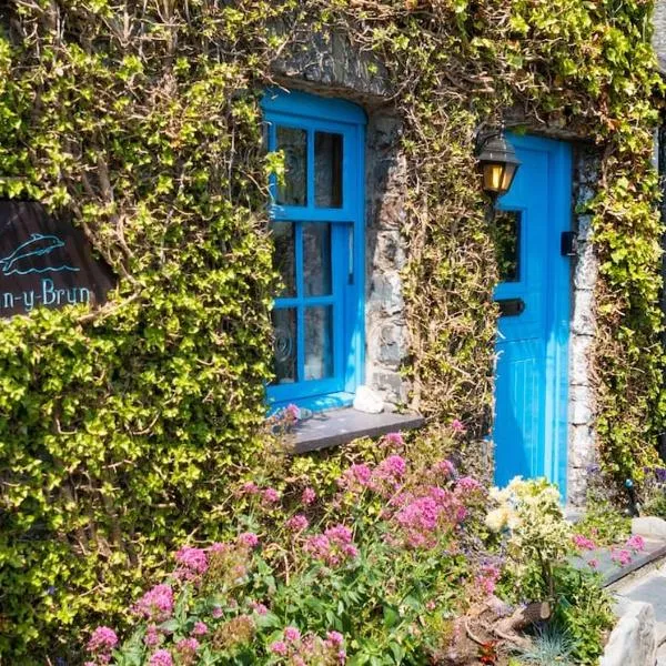 Tan Y Bryn, hotel v destinaci Llanrhystyd