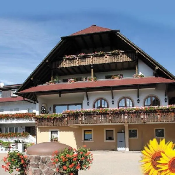 Gasthaus Pension Heidhof, hotel in Freiamt