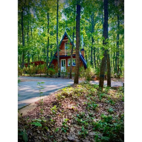 STANET Forest Houses, hotel v destinaci Novoberdo