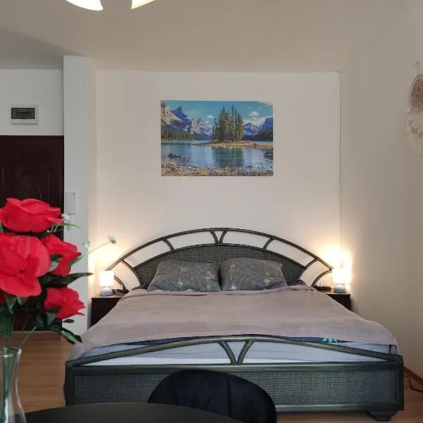 Mini Apartament Studio, Hotel in Głuchołazy