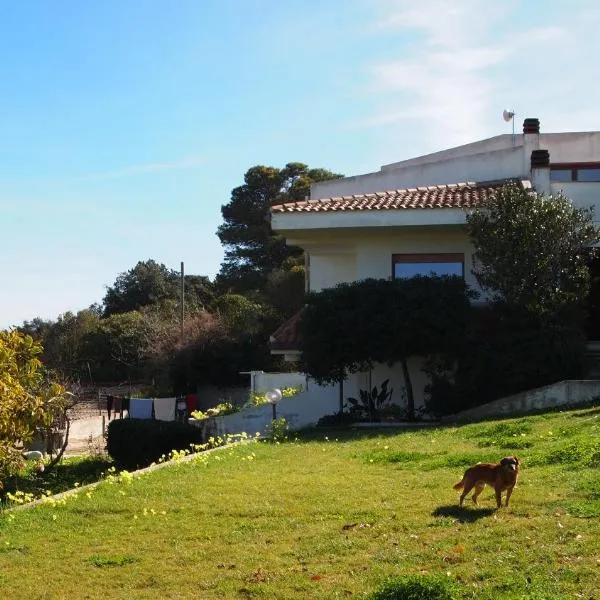 Asinara, hotell sihtkohas Sassari