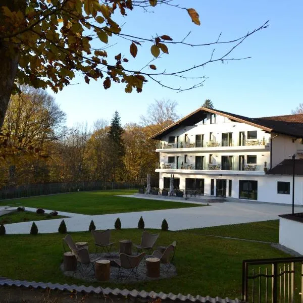 Pensiunea Amonte, hotel v destinaci Avrig