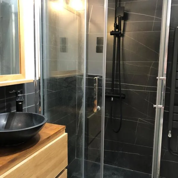 studio 118 rue Saint Charles Paris 15