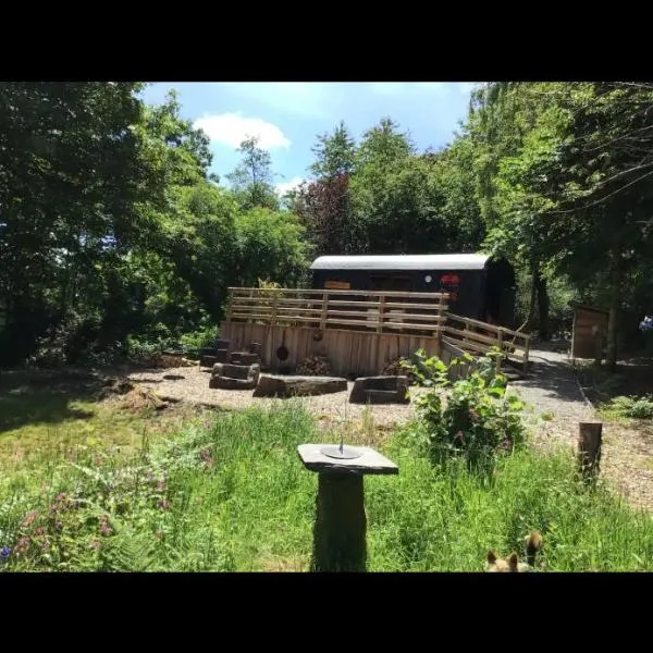 Fronfetyn, hotel in Llangwyryfon