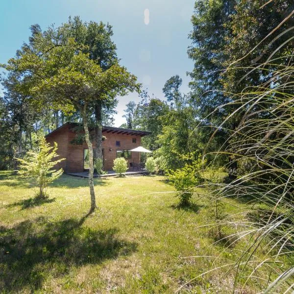 Cabañas Pucon Location, hotel v destinaci Pucón