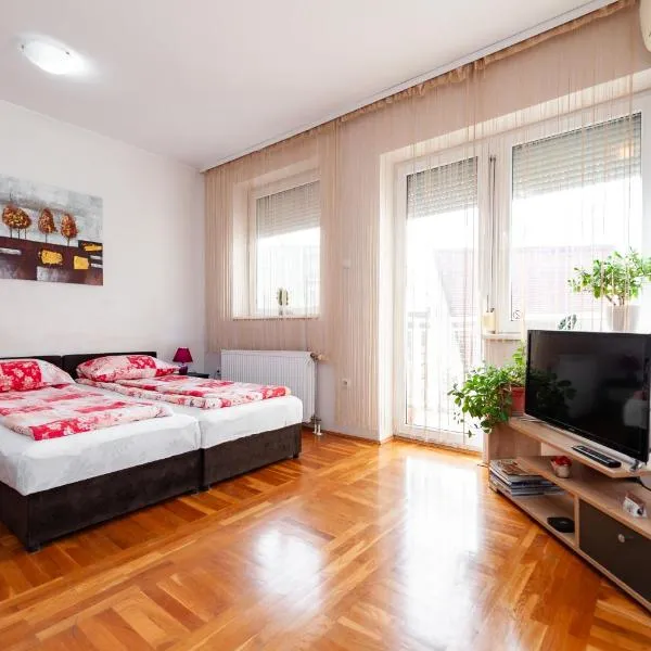 Momo's studio apartment Subotica, отель в Суботице