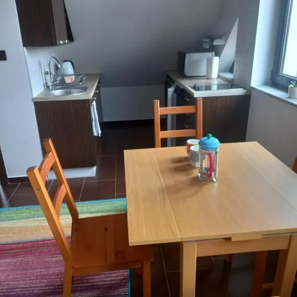 Olesiówka, hotel v destinaci Nowinka