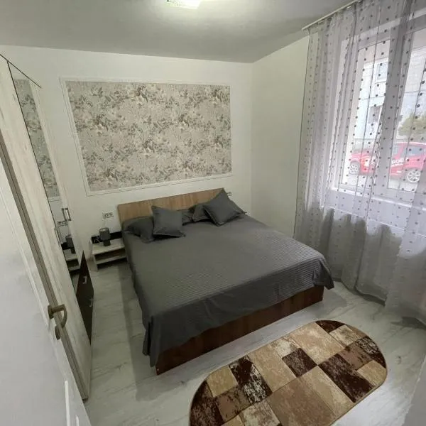 R.M Apartament, hotel sa Lugoj