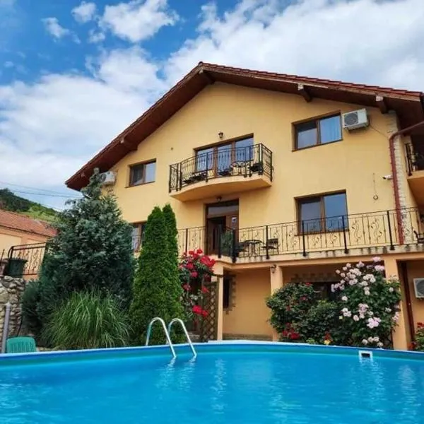 Pensiunea Dunavis, hotel v destinaci Oršava