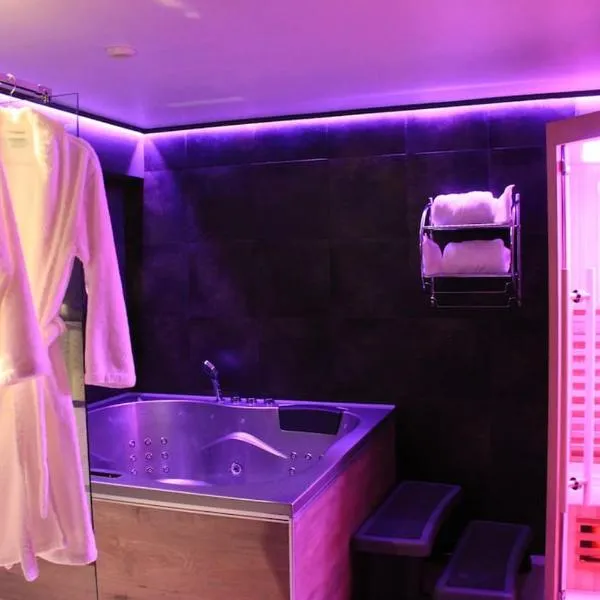 L'Ecrin duplex balnéo & Sauna, hotel in Troyes
