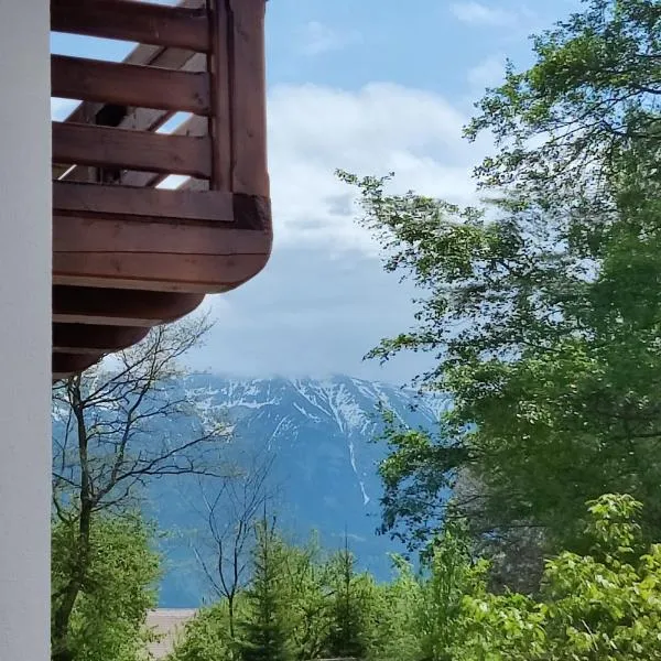 Ara Chalet、ブランのホテル