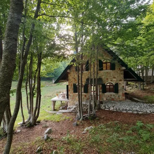 Lovćen Escape, Rustric House、ツェティニェのホテル