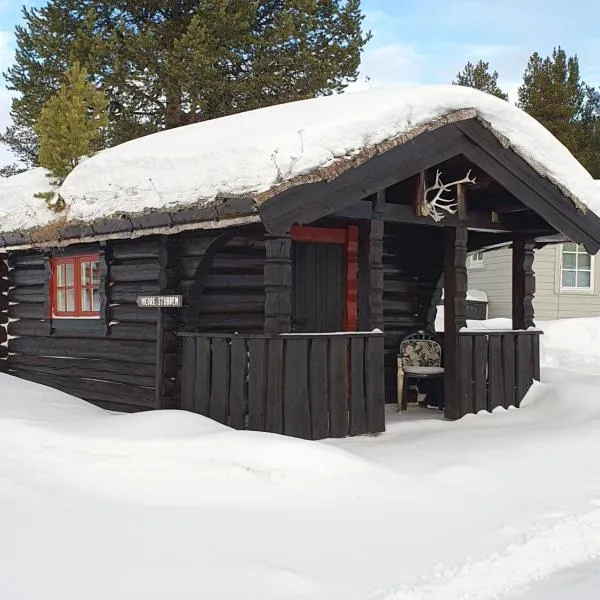 Bjørgebu Camping AS, hotel in Mysusæter