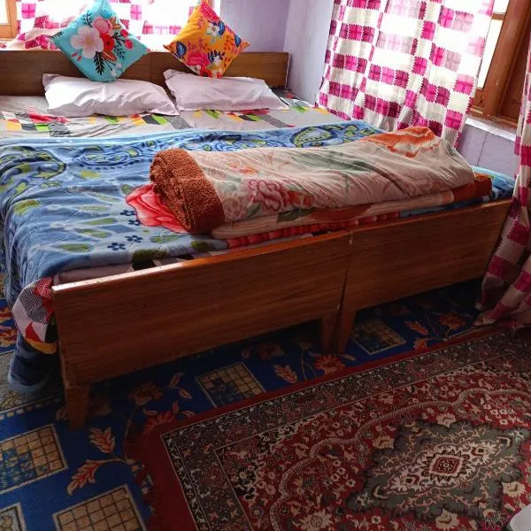 Queen Palace guest house, hotel in Srinagar