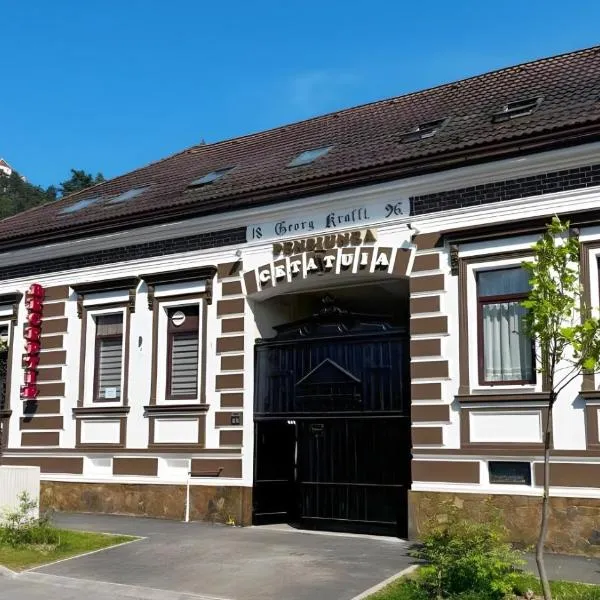 Cetățuia - Ultra-Central Râșnov Stay - Parking and Nature Close to Bran, Dino Parc and More, hotel in Râşnov
