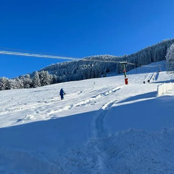 Ferienwohnung Aigisblick mit Pool und Sauna, direkt am Skihang, Hotel in Missen-Wilhams