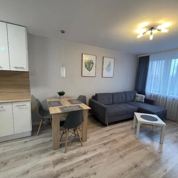 Mieszkanie w centrum z oddzielną sypialnią, hotel v destinaci Płock