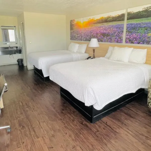 Days Inn & Suites by Wyndham - Canton First Monday Trade Days, hotel v destinaci Canton