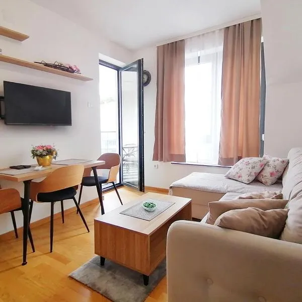 Apartman Andjelkovic，位于索科矿泉村的酒店