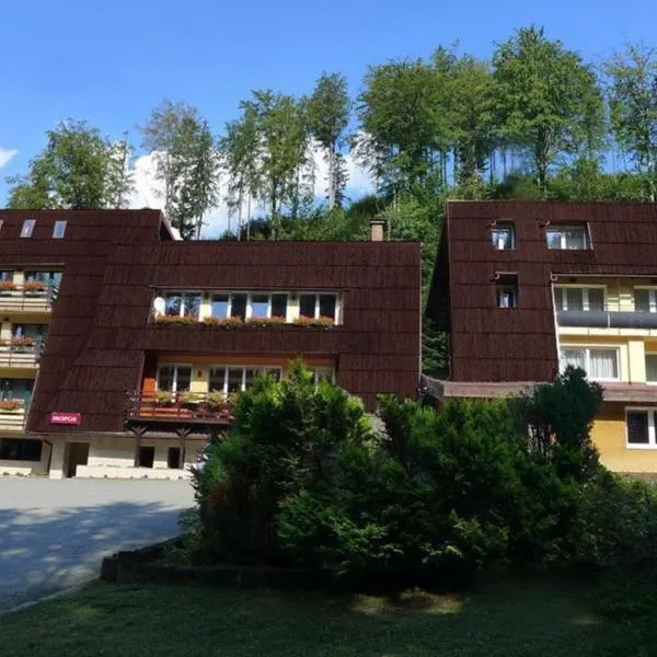 Ośrodek Wypoczynkowy Watra – hotel w mieście Jeleśnia