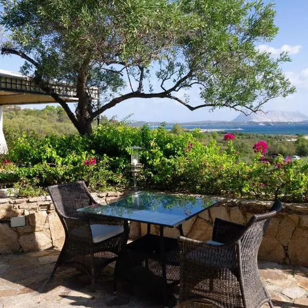 Villa Minda Lodge & View, hotel v destinaci San Teodoro