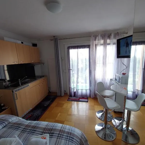 Joli studio avec terrasse et vue EXCLUSIVEMENT POUR NON FUMEURS, hôtel à Belmont-sur-Lausanne