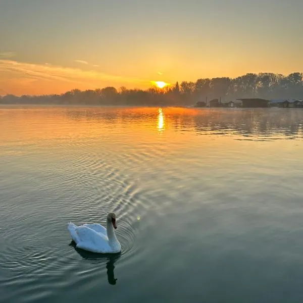 Swan, отель в Белграде