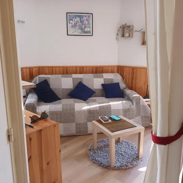 Studio 4 pers Terrasses de la Foux proche Labrau très fonctionnel, hotel u gradu La Foux