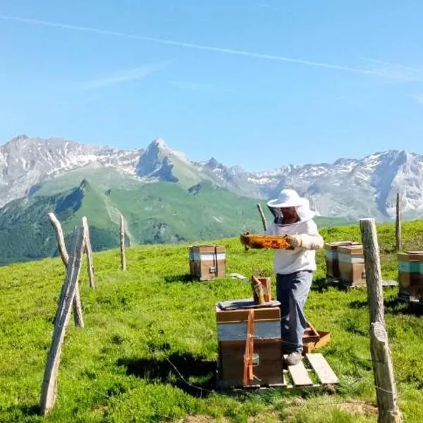 Vue montagne Béost-Laruns, hotel in Béost