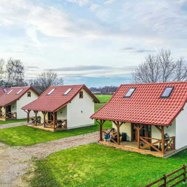 Ostoja Lemany - domki na Kaszubach, hotel in Rokity