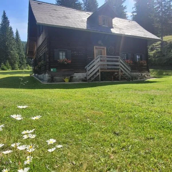 Fuggerhütte โรงแรมในFlattnitz