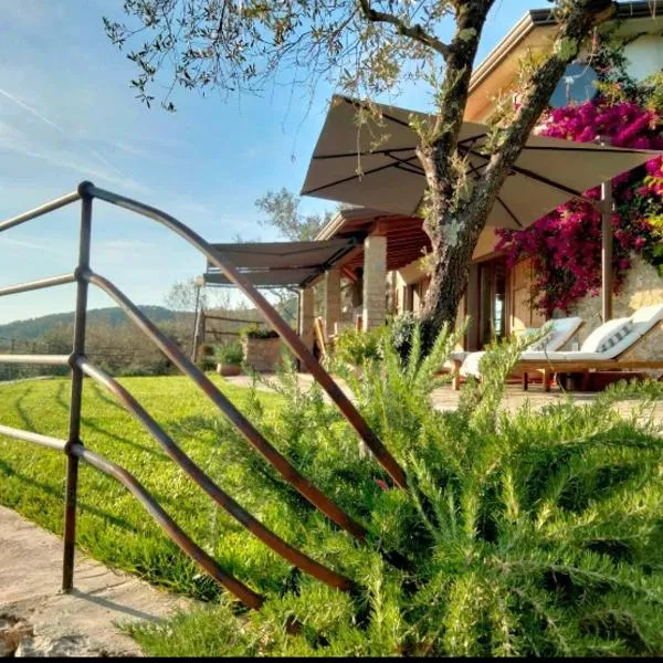 A CASA DI OLIVO, Hotel in Castelnuovo Magra