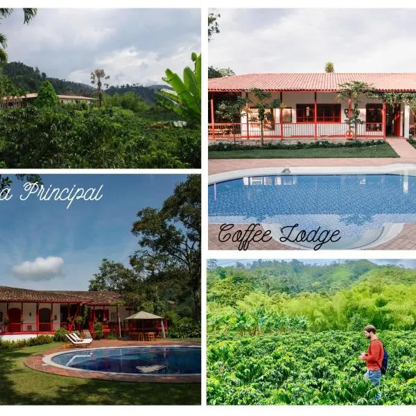 Hacienda Venecia Coffee Farm Hotel, hotel en Palestina