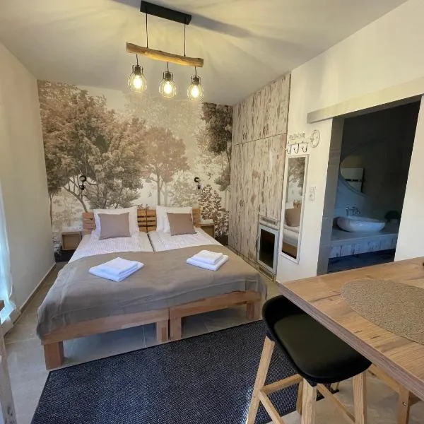 Vitality Apartman, hotel v destinaci Makó