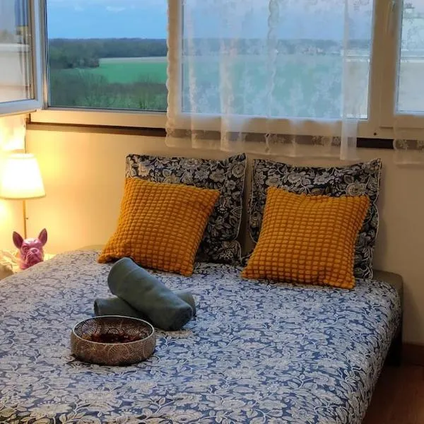 Cozy Relaxing View Apartment ! Walk to Amenities! – hotel w mieście Melun