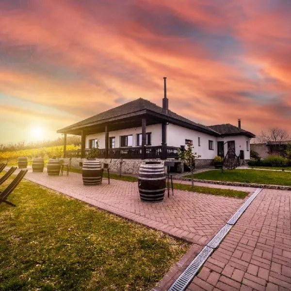 Domeniul Drăgași, hotel en Verdea