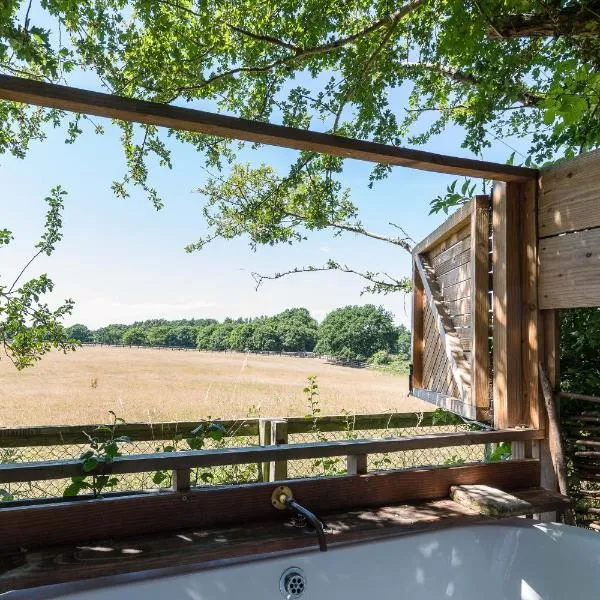 Cabin Westerlands, hotel di Selham