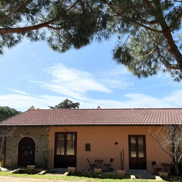 Agriturismo La Vergheria, hotel in Macchiascandona