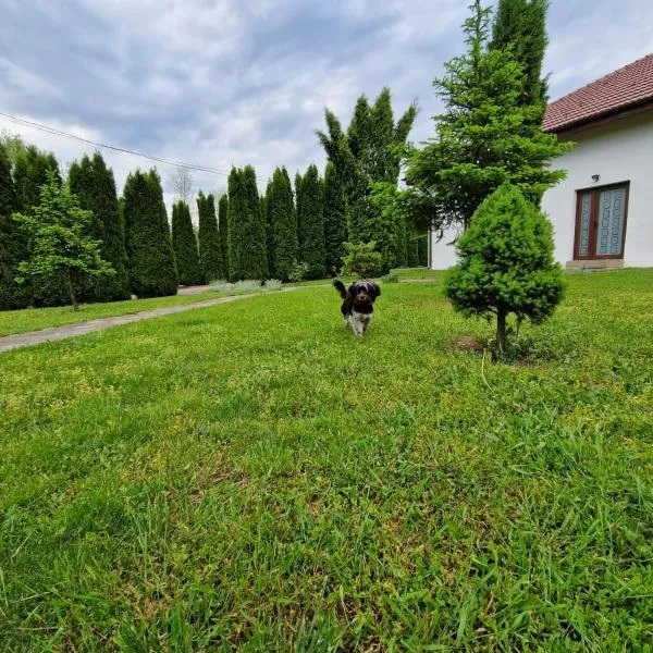 Pensiunea Bradu, hotel in Haleş