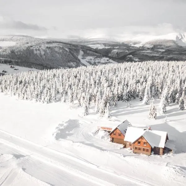 Hotel Vydrovy boudy Pec pod Sněžkou, ξενοδοχείο σε Pec pod Sněžkou