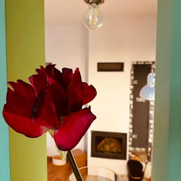 Noua Apart, hotel in Petroşani