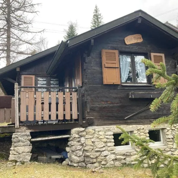 Entire cozy chalet in St-Cergue - 30 min from Geneva, hotel v destinaci Saint-Cergue