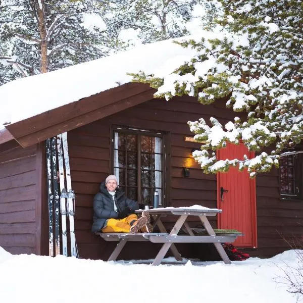 Sjodalen Hyttetun og Camping, hotel di Hindseter 