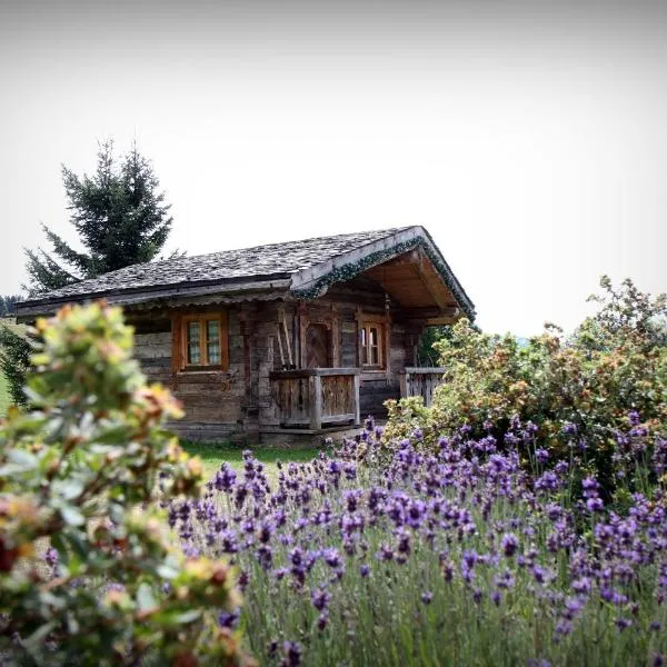 Hôtel Le Manoir des Montagnes, hotel v destinaci Les Rousses