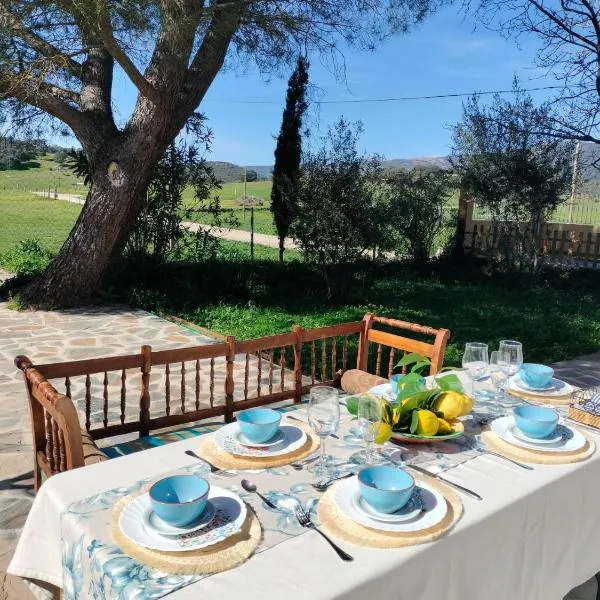 Casa Celia, hotel en Miranda del Rey
