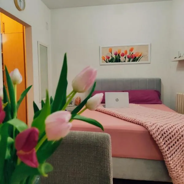 Apartman Lenka, hotel v destinaci Banja Koviljača