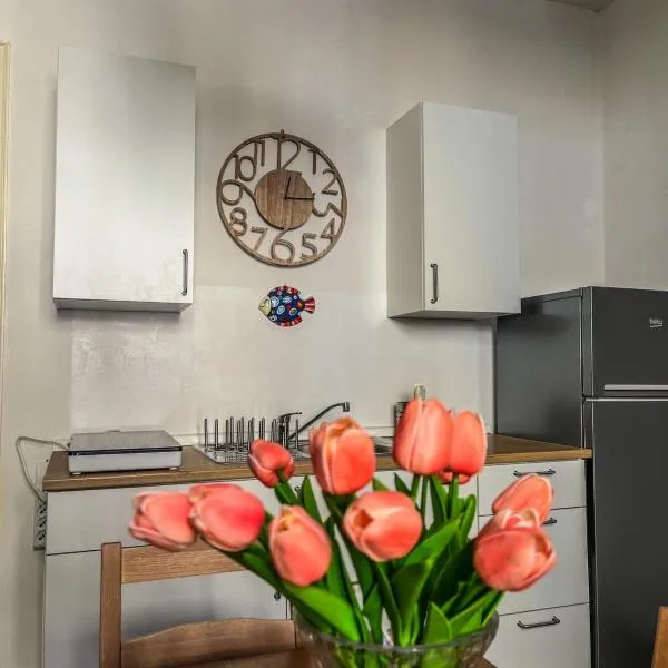 La Casa di Milena 2, Hotel in La Spezia