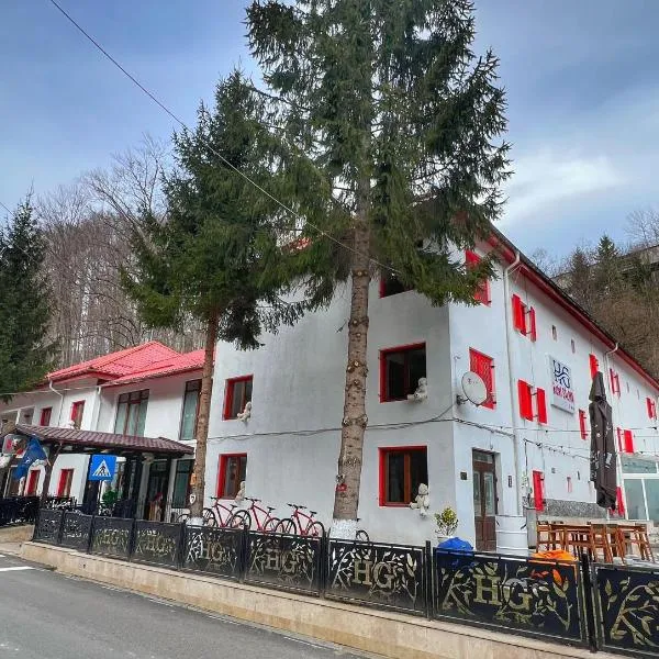 Hotel Gâlma, hotel di Runcu