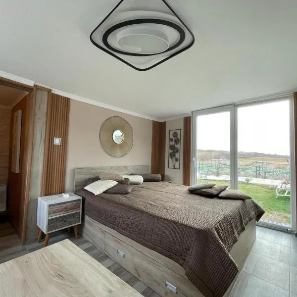 Diamona Lux Spa Apartman, hotel in Niš